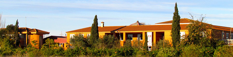 Edificis actuals de l'escola 'La Masia'.