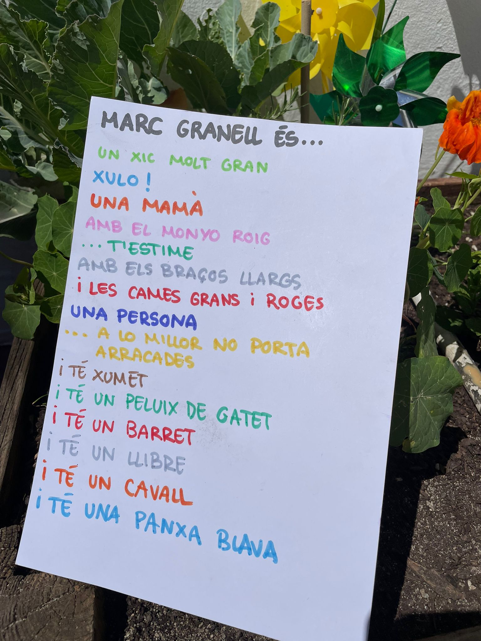 Investigant sobre qui podria ser Marc Granell